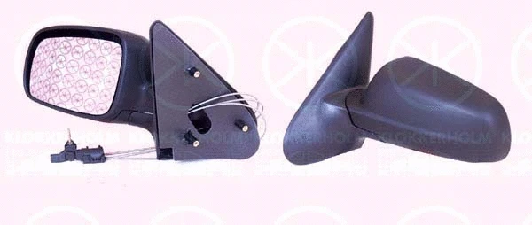 Exterior Mirror (66081021)