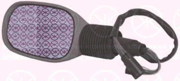 Exterior Mirror (25051041)