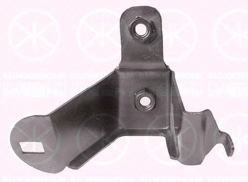 Mounting Bracket, bumper (5022931)