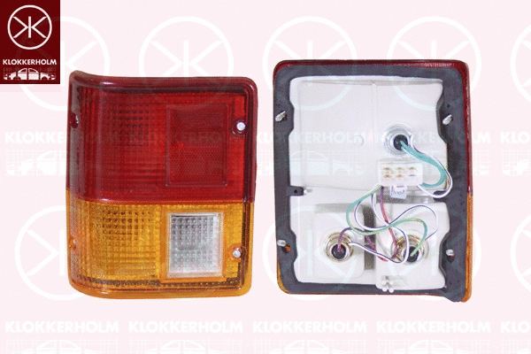 Tail Light Assembly (37300701)