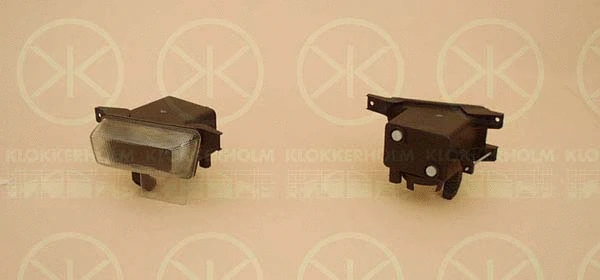 Front Fog Light (50510283)