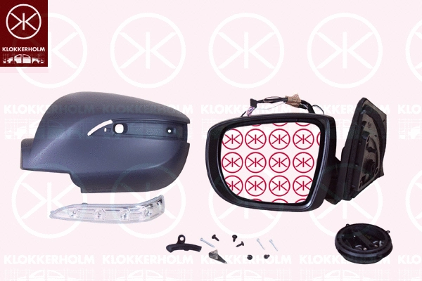 Exterior Mirror (31761044)