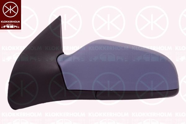 Exterior Mirror (50521045)