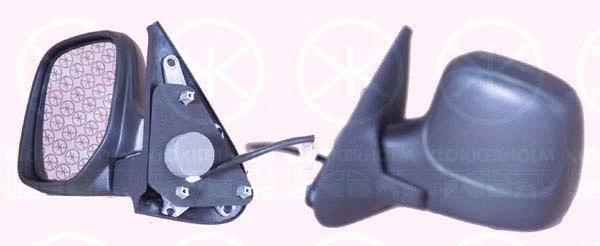 Exterior Mirror (05501032)