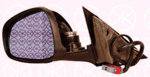 Exterior Mirror (01111041)