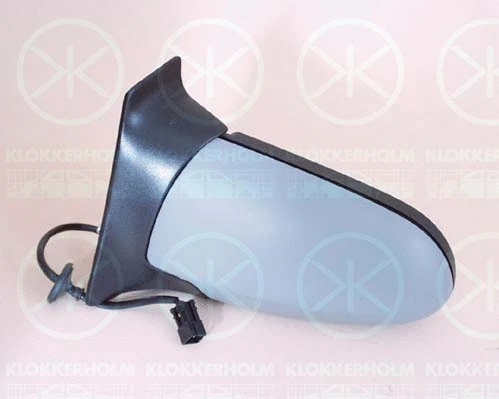 Exterior Mirror (50621041)