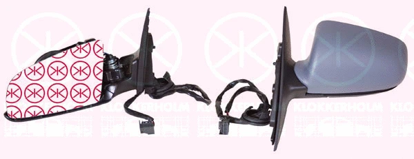 Exterior Mirror (00311041)