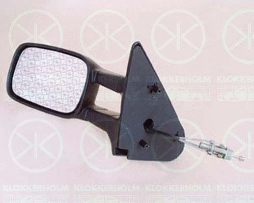 Exterior Mirror (95701022)