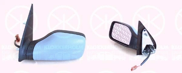 Exterior Mirror (55021041)