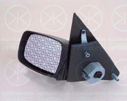 Exterior Mirror (25531042)