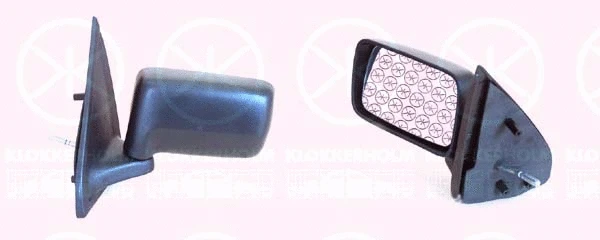 Exterior Mirror (25621021)