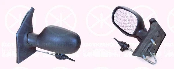 Exterior Mirror (60381021)