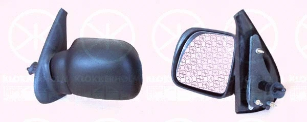 Exterior Mirror (60101021)