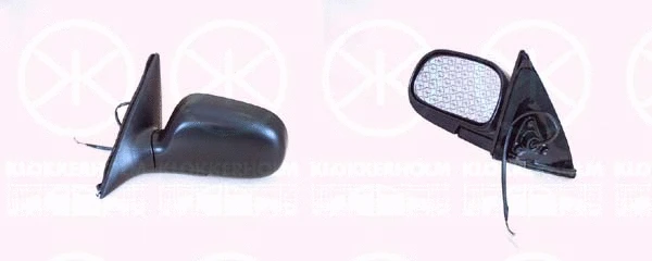 Exterior Mirror (81431031)