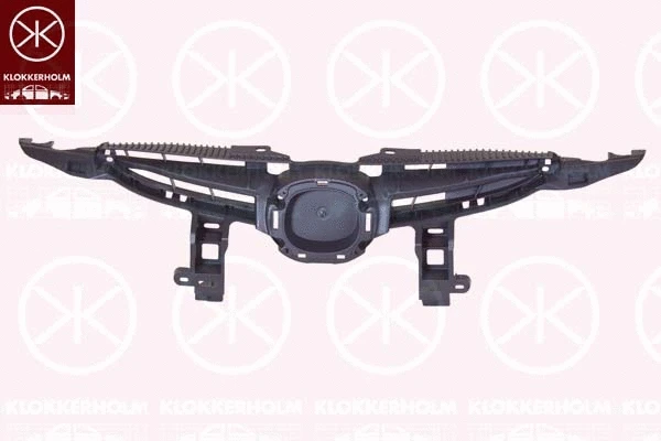 Radiator Grille (3421991A1)