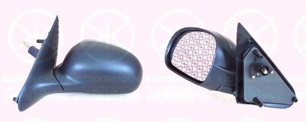 Exterior Mirror (55361021)