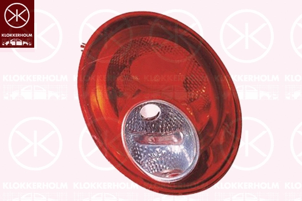 Tail Light Assembly (95140713)