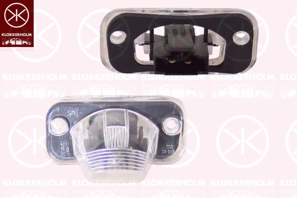 Licence Plate Light (95580855)