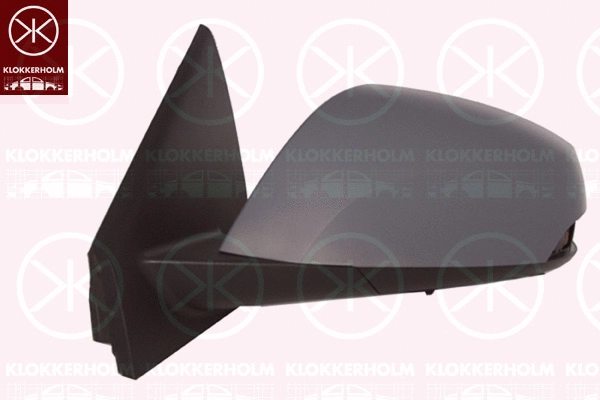 Exterior Mirror (60561046)