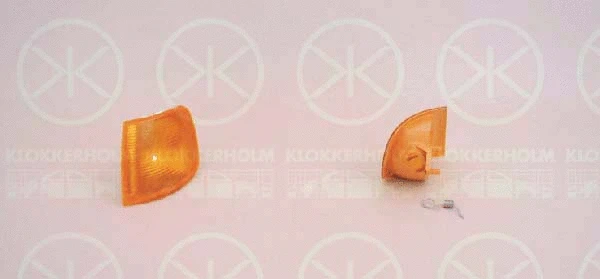 Direction Indicator (25510381)