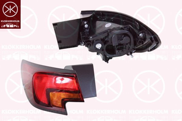Tail Light Assembly (50540702A1)