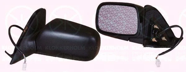 Exterior Mirror (81141041)