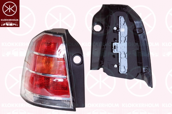 Tail Light Assembly (50630702A1)