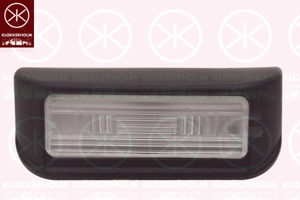 Licence Plate Light (05520850)