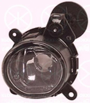 Front Fog Light (40010282)