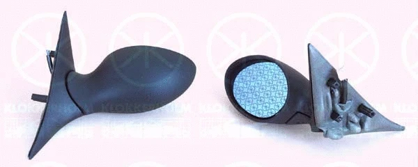 Exterior Mirror (01071031)