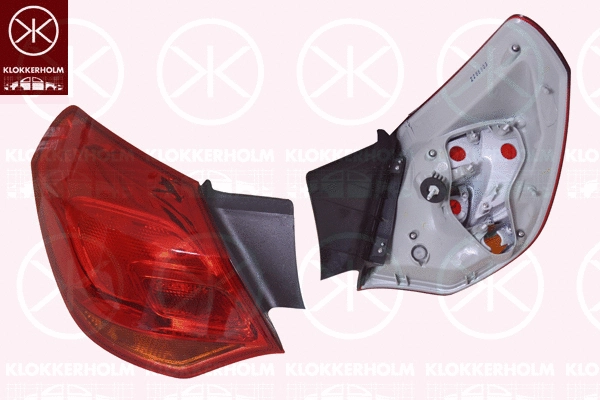 Tail Light Assembly (50530711)