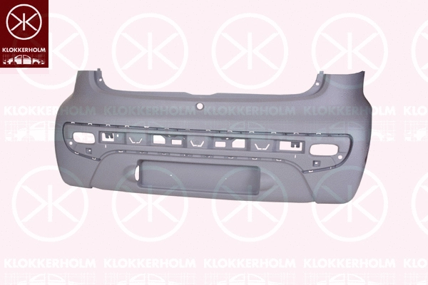 Bumper (5501950A1)