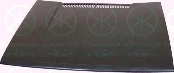 Bonnet (9520280)