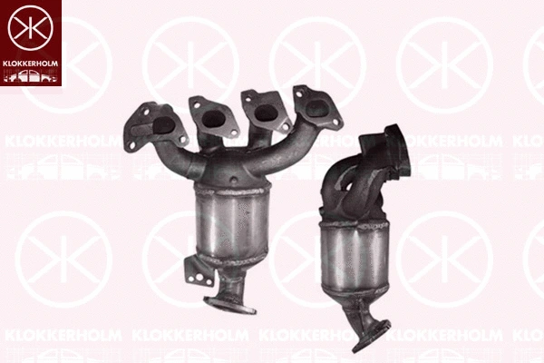 Catalytic Converter (50528601)