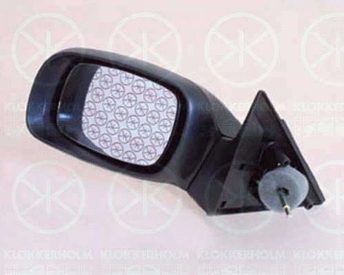 Exterior Mirror (50501024)