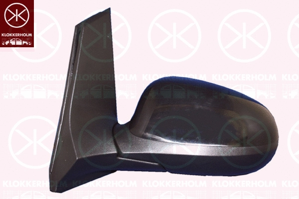 Exterior Mirror (25061022)