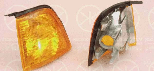 Direction Indicator (00160381)