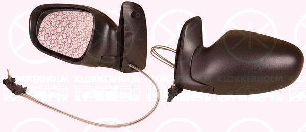 Exterior Mirror (25821025)