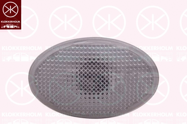 Direction Indicator (25530570)