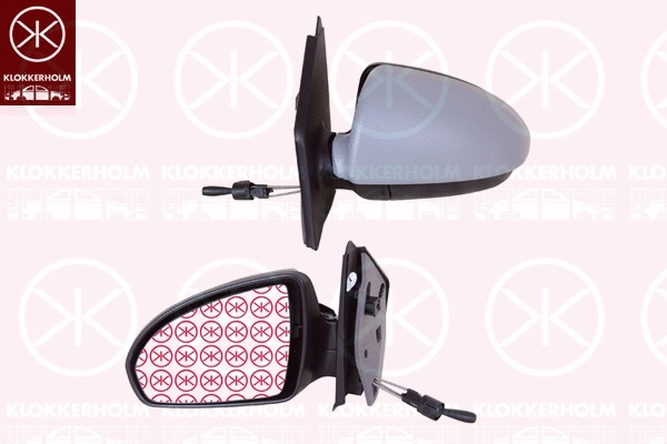 Exterior Mirror (35021025)