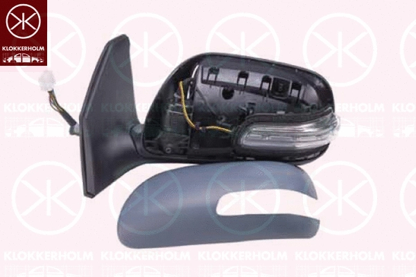 Exterior Mirror (81611046)