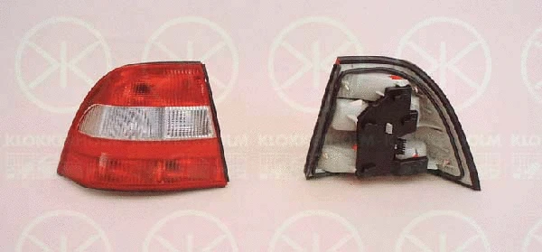 Tail Light Assembly (50770701)