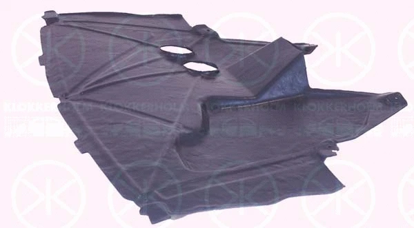 Engine Cover (6005795)