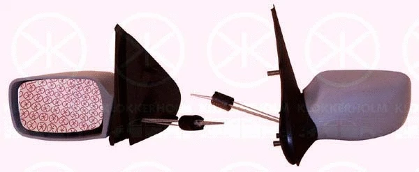 Exterior Mirror (25631025)