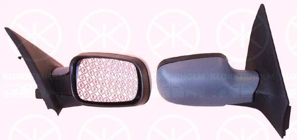 Exterior Mirror (60411044)