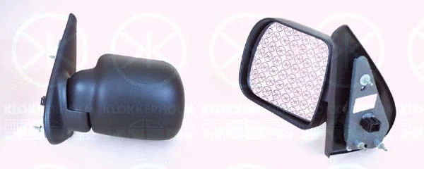 Exterior Mirror (60101033)