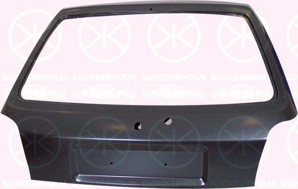 Boot-/Cargo Area Hatch (2562710)