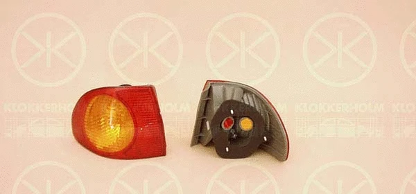 Tail Light Assembly (81140711)