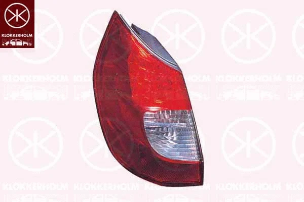 Tail Light Assembly (60420716)