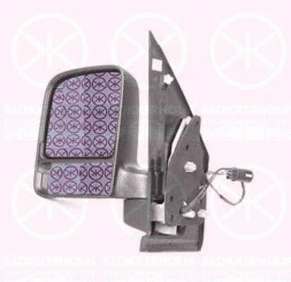 Exterior Mirror (25071041)